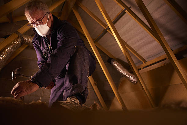 Best Insulation Contractors for Homes  in Collinsburg, PA